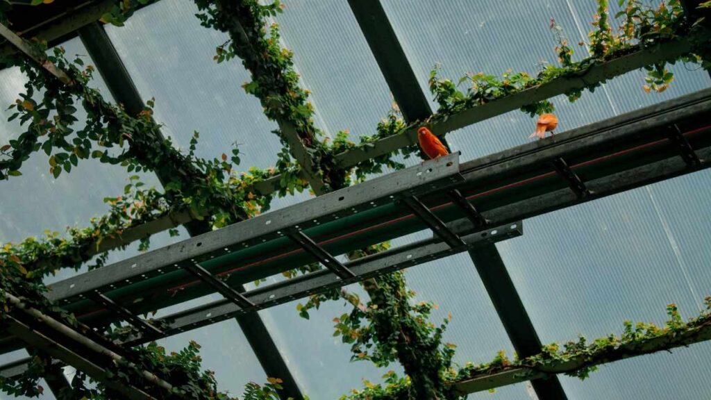 Enhanced Food Security and Sustainability
