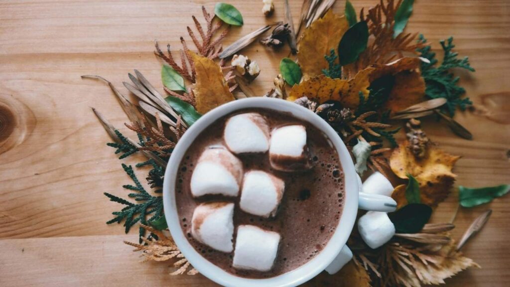 The Benefits of Hot Cocoa Mix Without Dry Milk